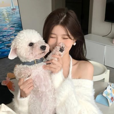 蓝色大丽花 海报